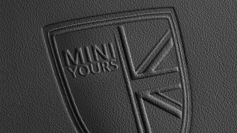 LOGO DE MINI YOURS EN TEXTURA DE PIEL